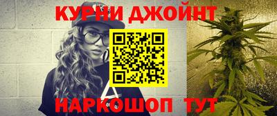 сатива Лесосибирск