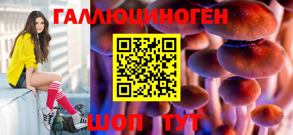 Галлюциногенные грибы мухоморы Дмитров